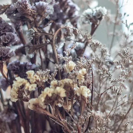 Διαμέρισμα Con Vistas A La Ria