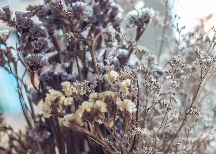 Apartament Con Vistas A La Ria